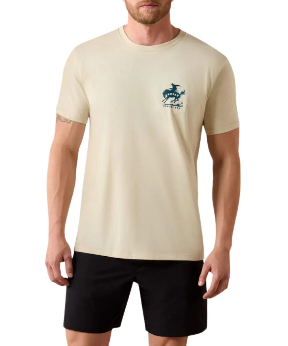Ariat Men's Split Freedom Painted Tee - Image 2