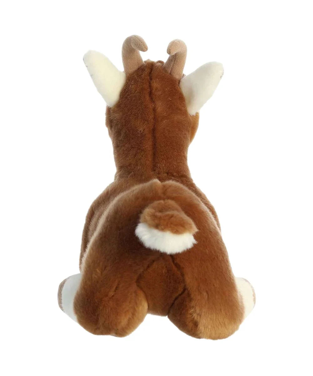 Aurora Goat - Image 2