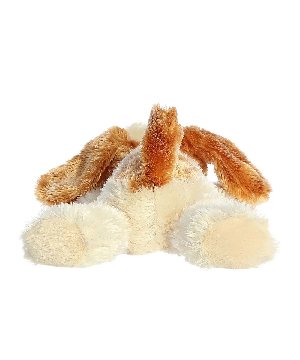 Aurora Scruff Puppy - Image 2