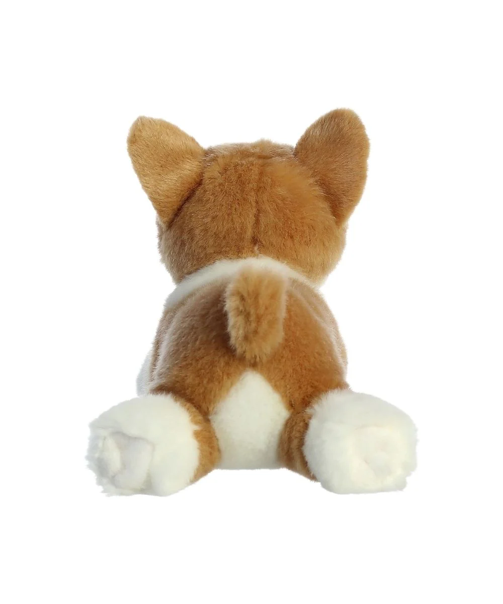 Aurora Corgi - Image 2