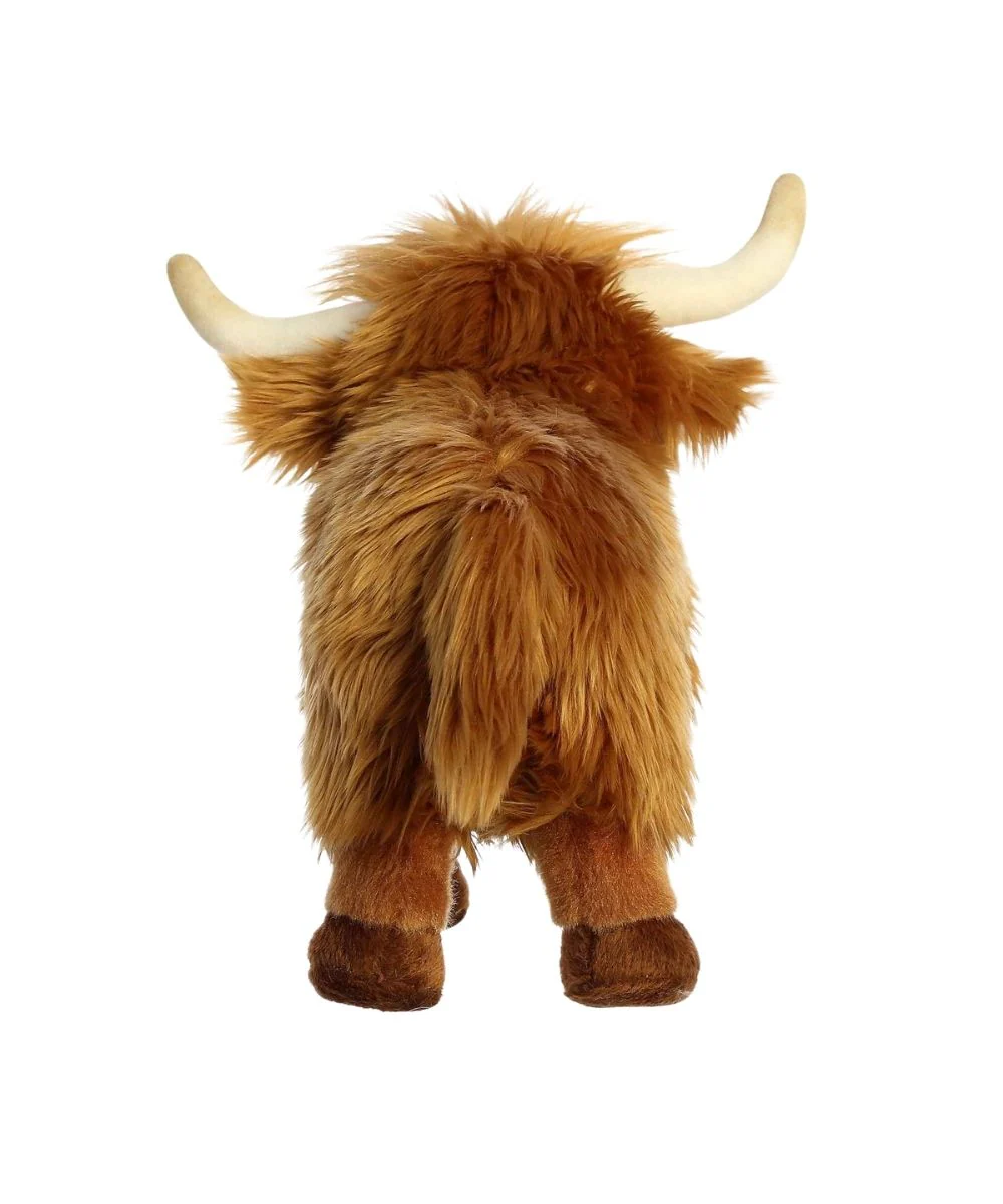 Aurora Highland Cattle - Image 2