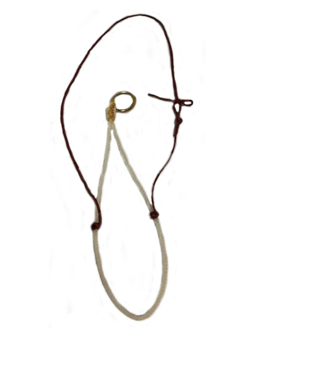 Beagley Braiding Small Rope Noseband - Image 2