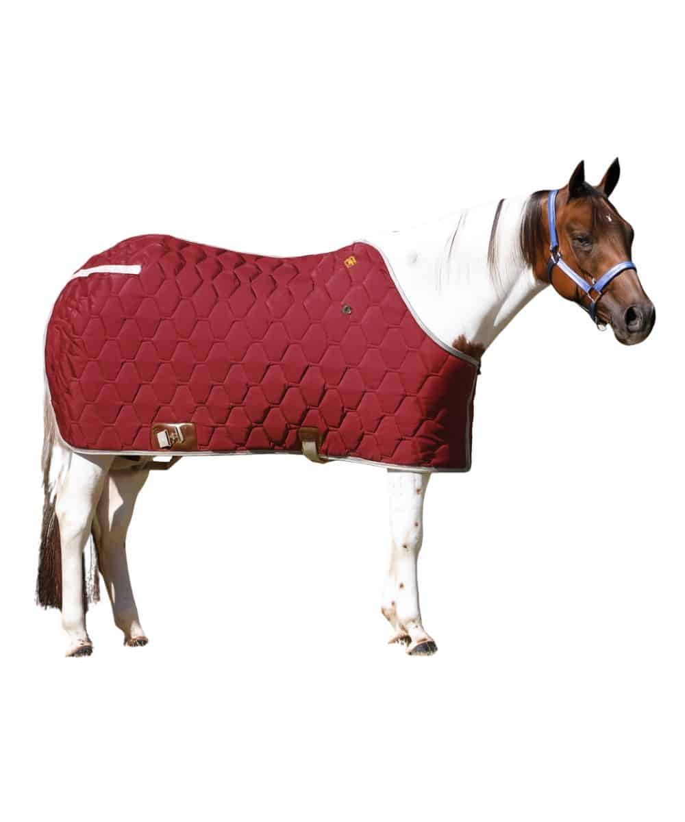 Big D All American Closed Front Blanket - Image 3
