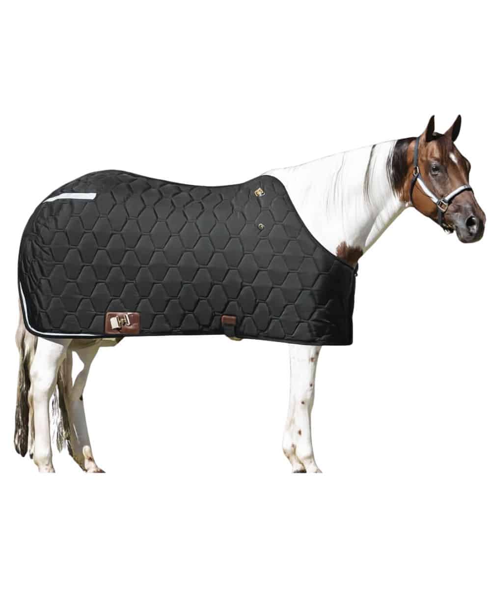Big D All American Horse Blanket - Image 2