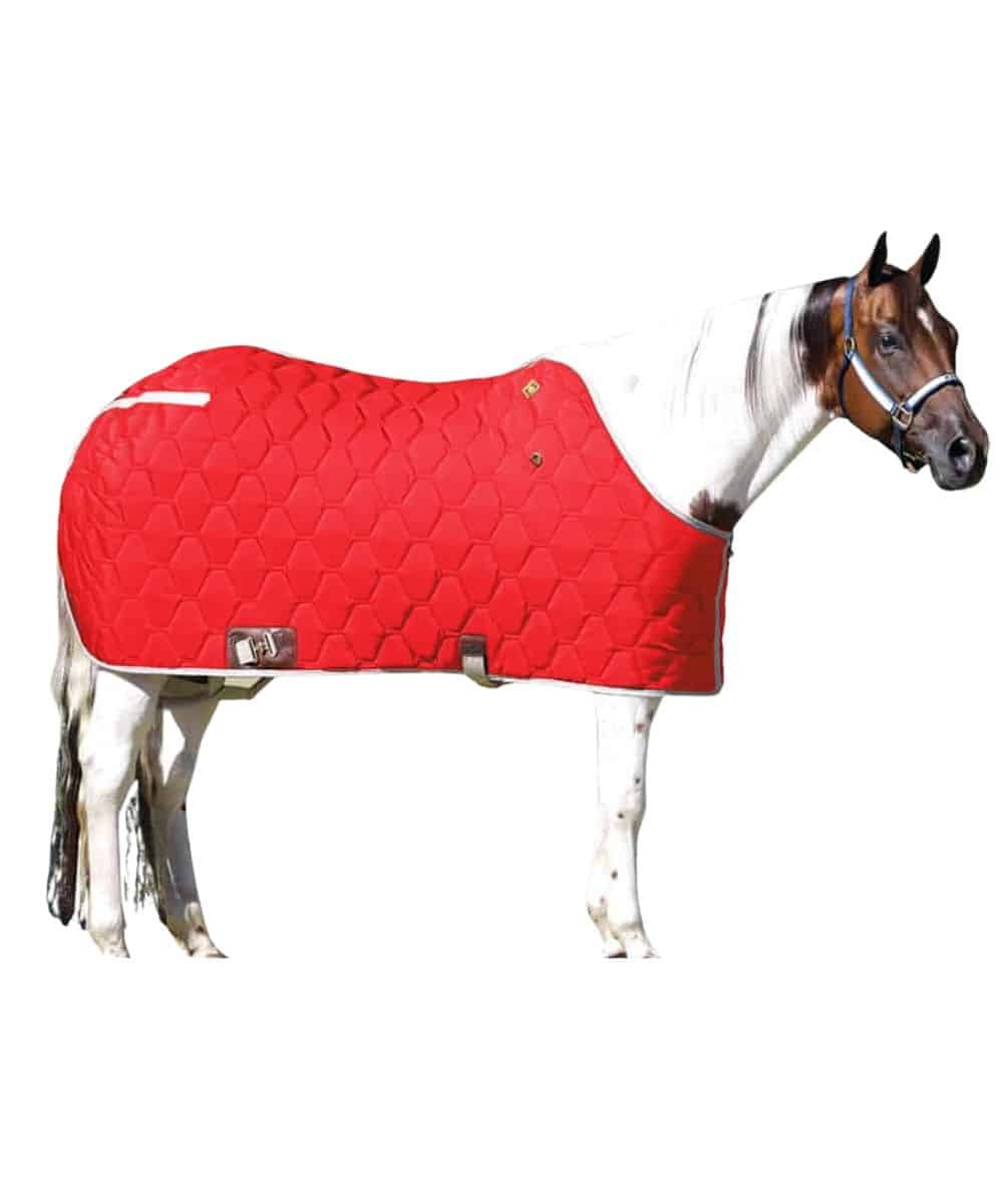 Big D All American Horse Blanket - Image 3