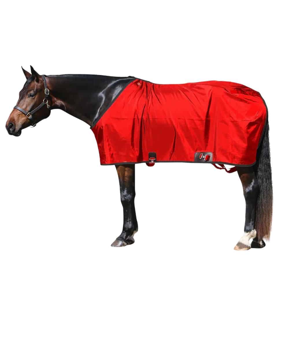 Big D Nylon Stable Sheet - Image 3