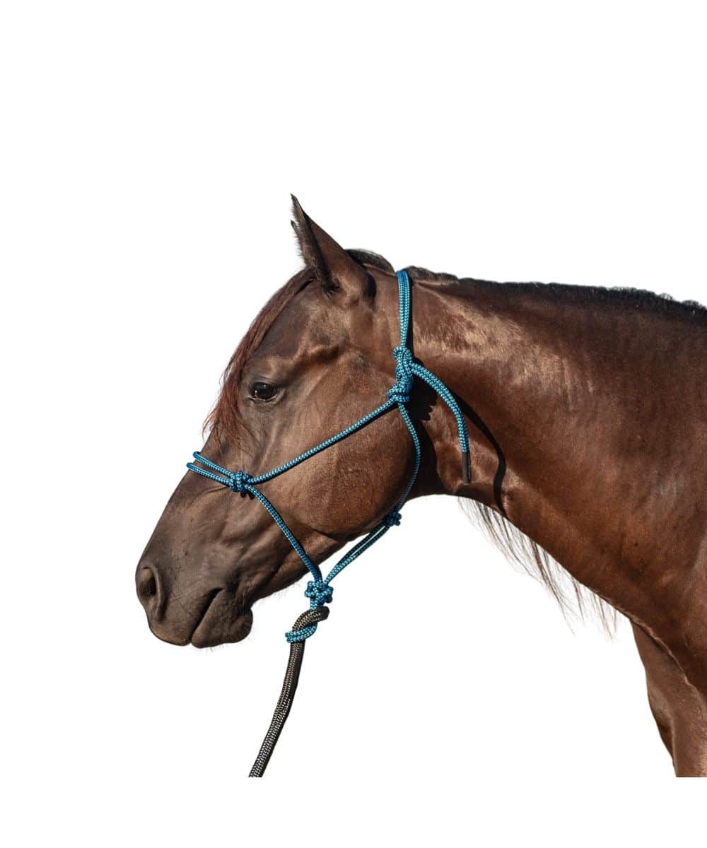 Classic Equine Rope Halter With Lead - Image 2