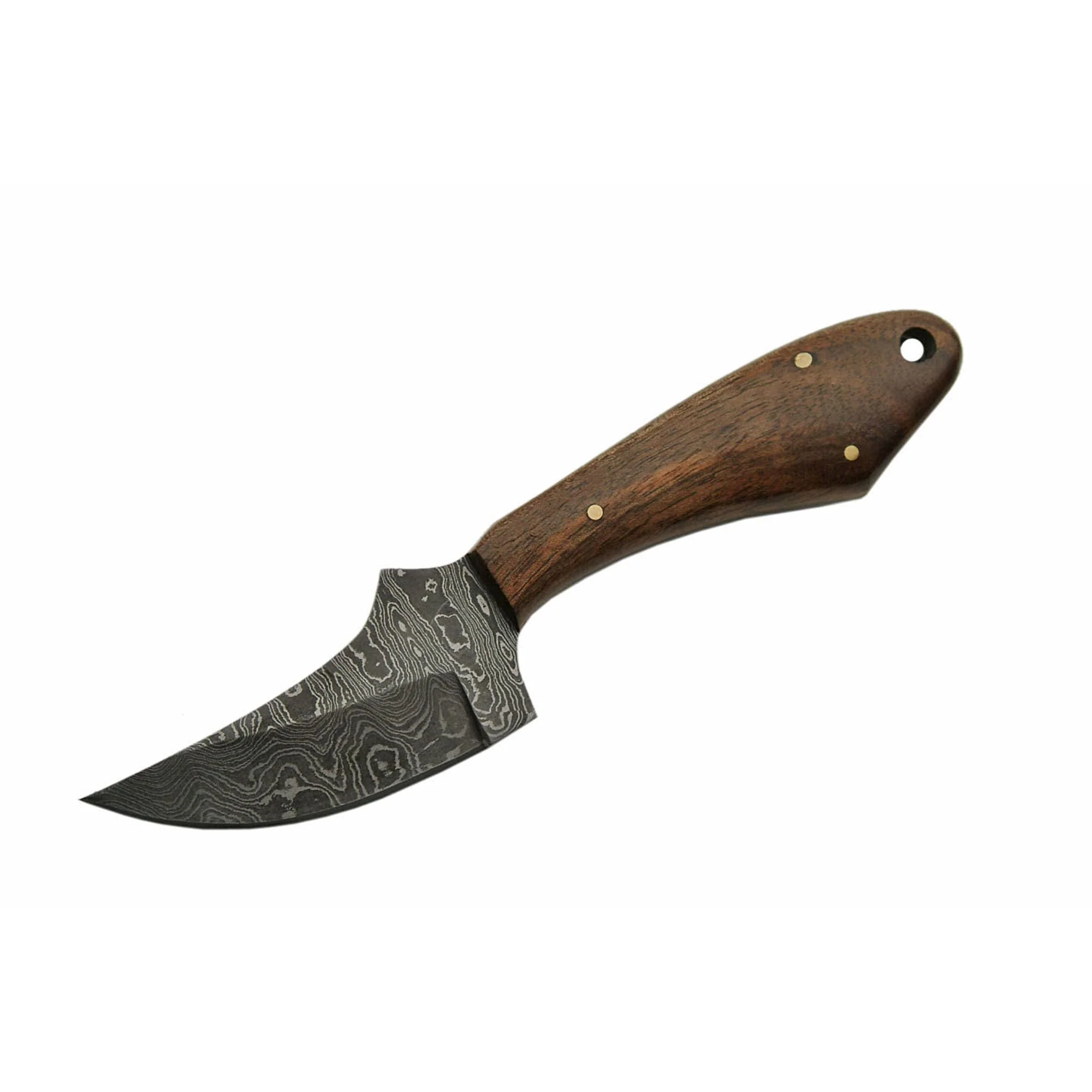 Double D Sanz Walnut Rhino Damascus Bowie Fixed Blade Knife - Image 6