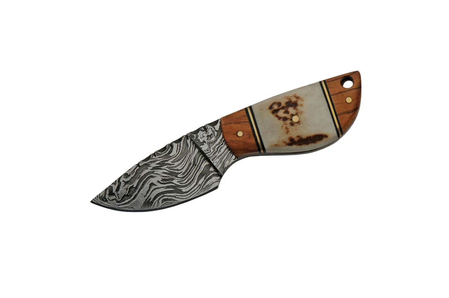 Double D Stag  Olivewood Handle Camping Knife - Image 3
