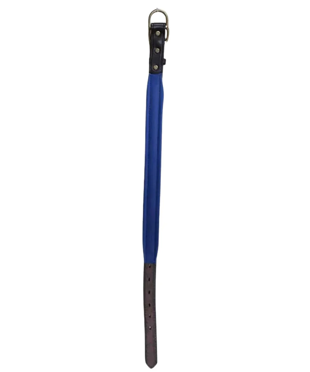 Hilltop Tack Medium Padded Dog Collar - Image 2