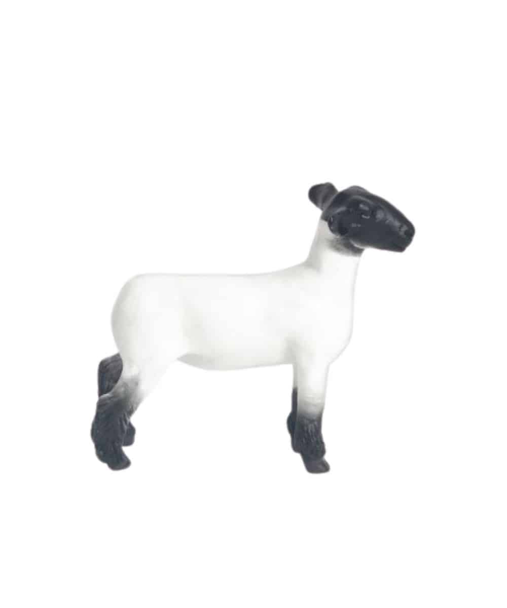 Little Buster Champion Crossbred Lamb Toy - Image 2