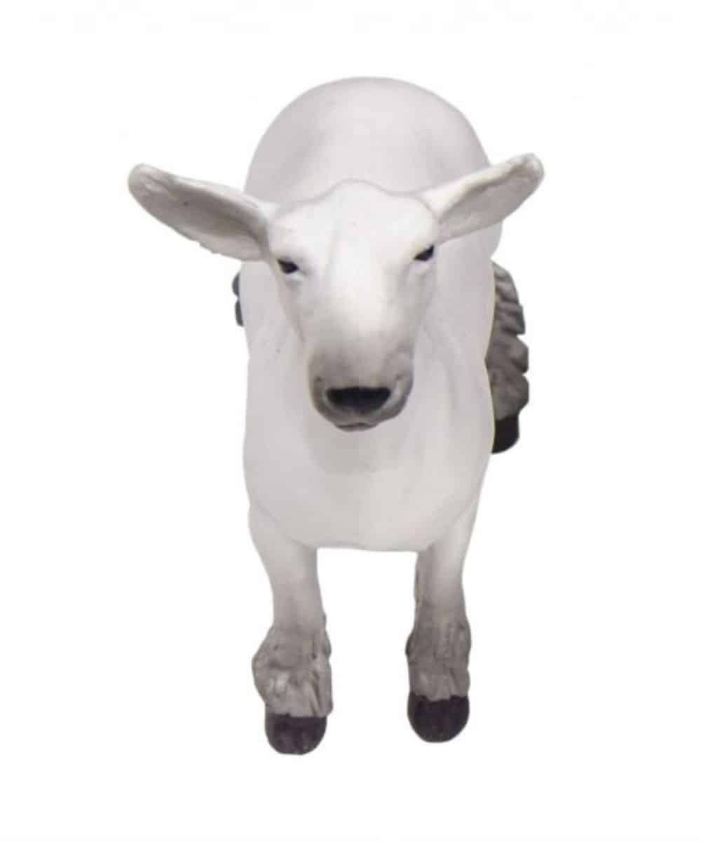 Little Buster Champion Show Lamb Toy - Image 2