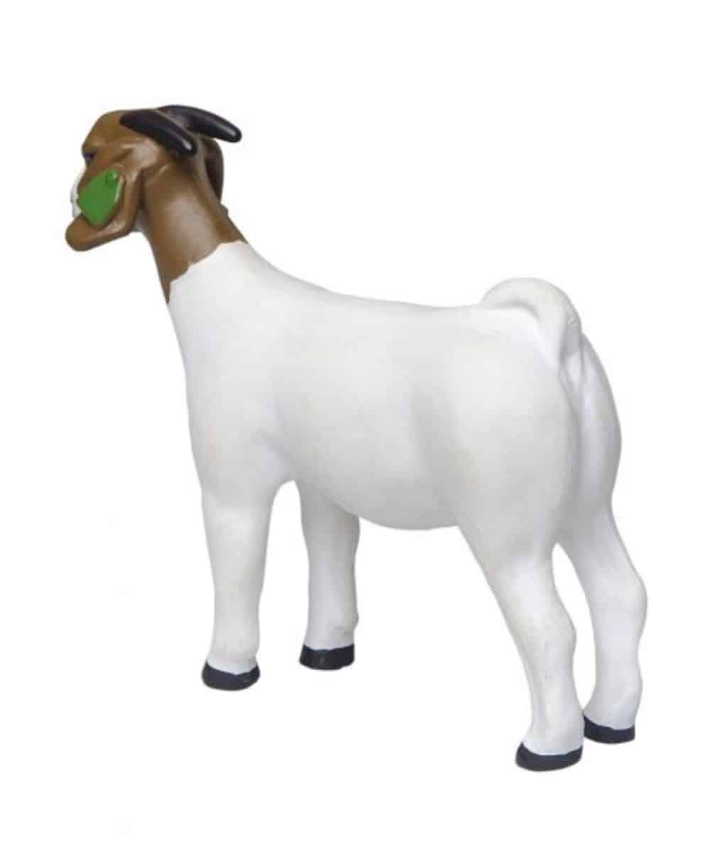Little Buster Grand Champion Boer Toy - Image 2