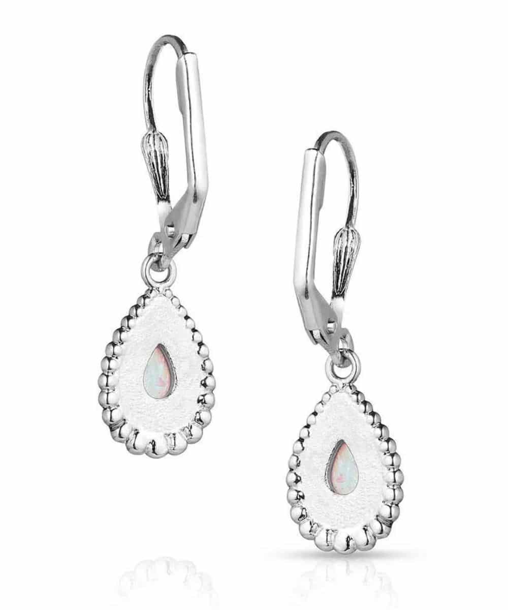 Montana Silversmiths Women's Glimmering Pools Earrings - Image 2