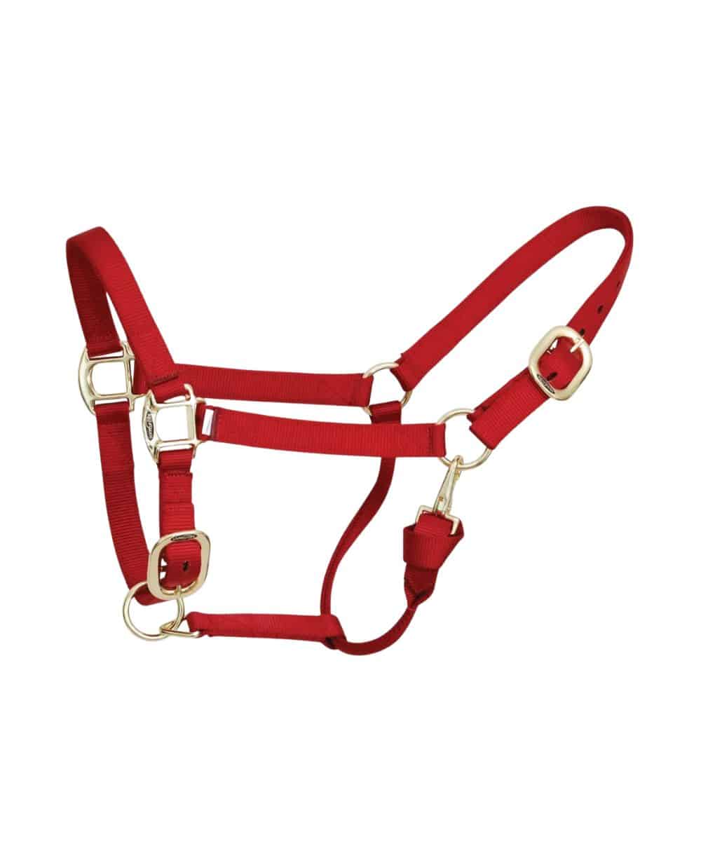 Reinsman Deluxe Nylon Halter - Image 4