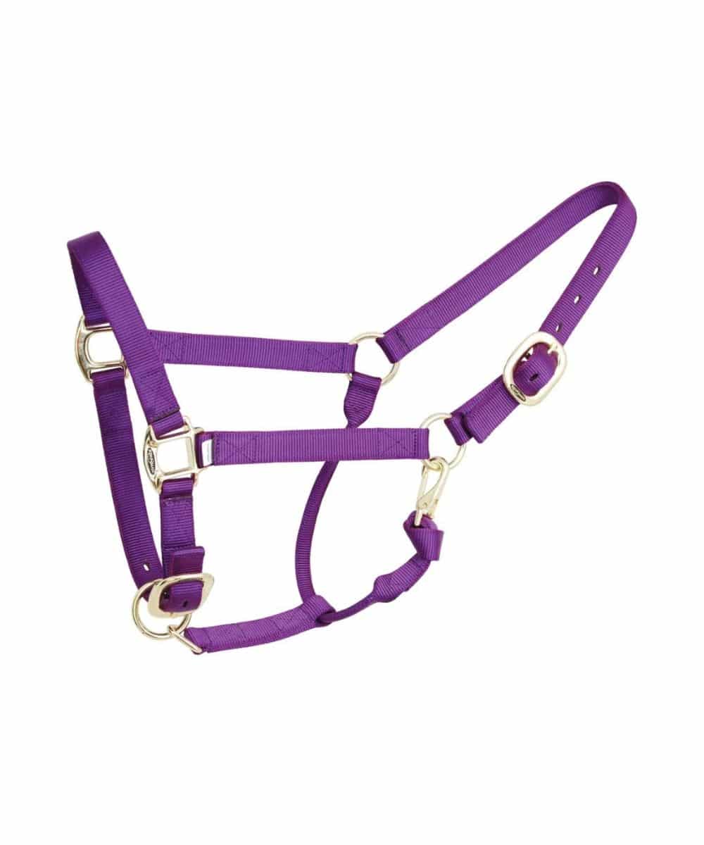 Reinsman Deluxe Nylon Halter - Image 6