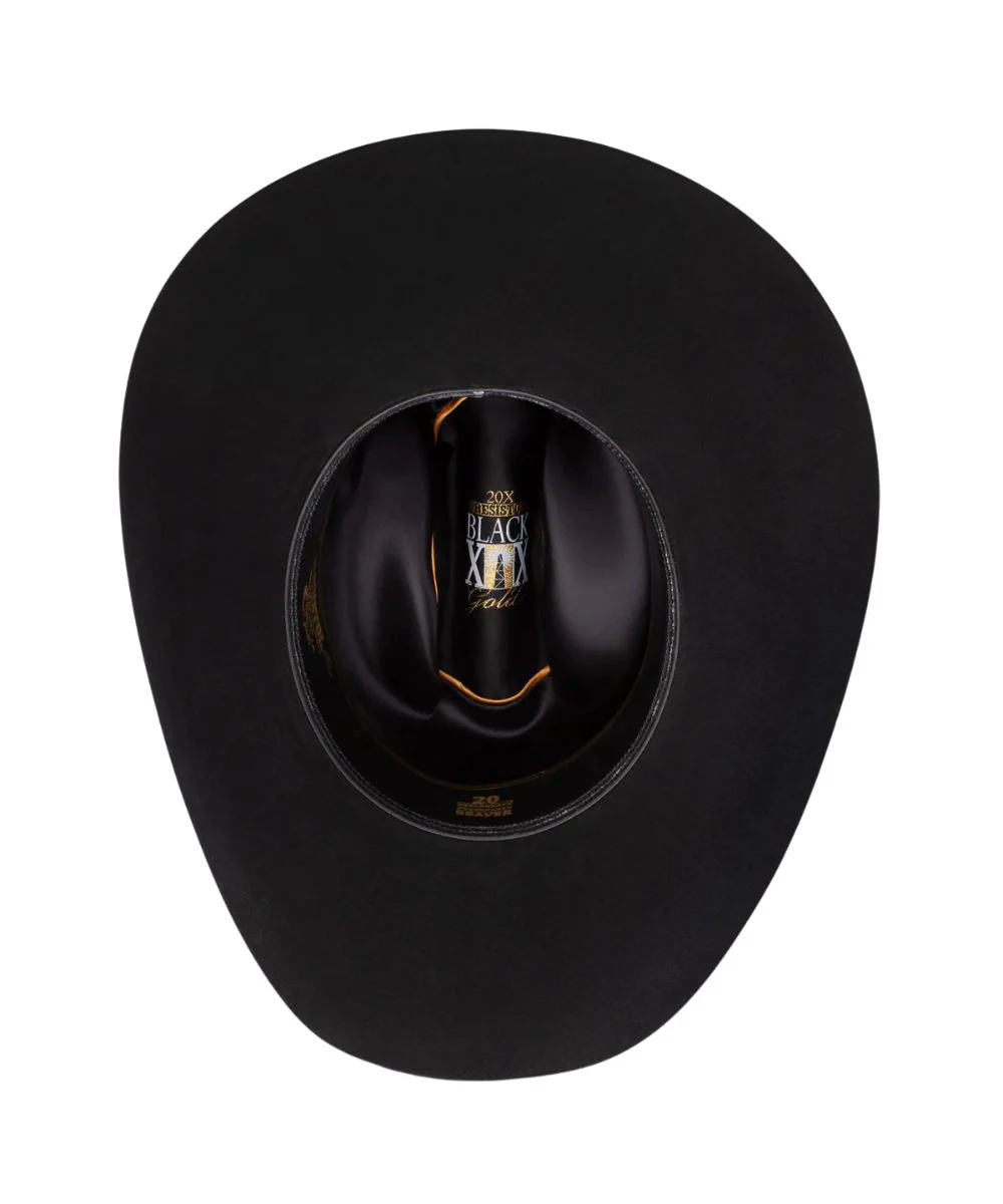 Resistol Black Gold Cowboy Hat - Image 4