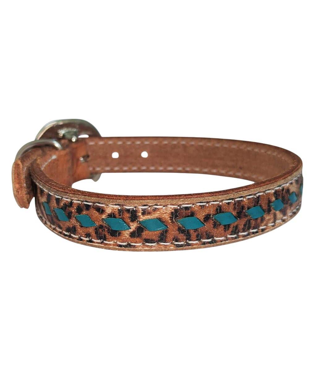 San Saba 12" Dog Collar - Image 2