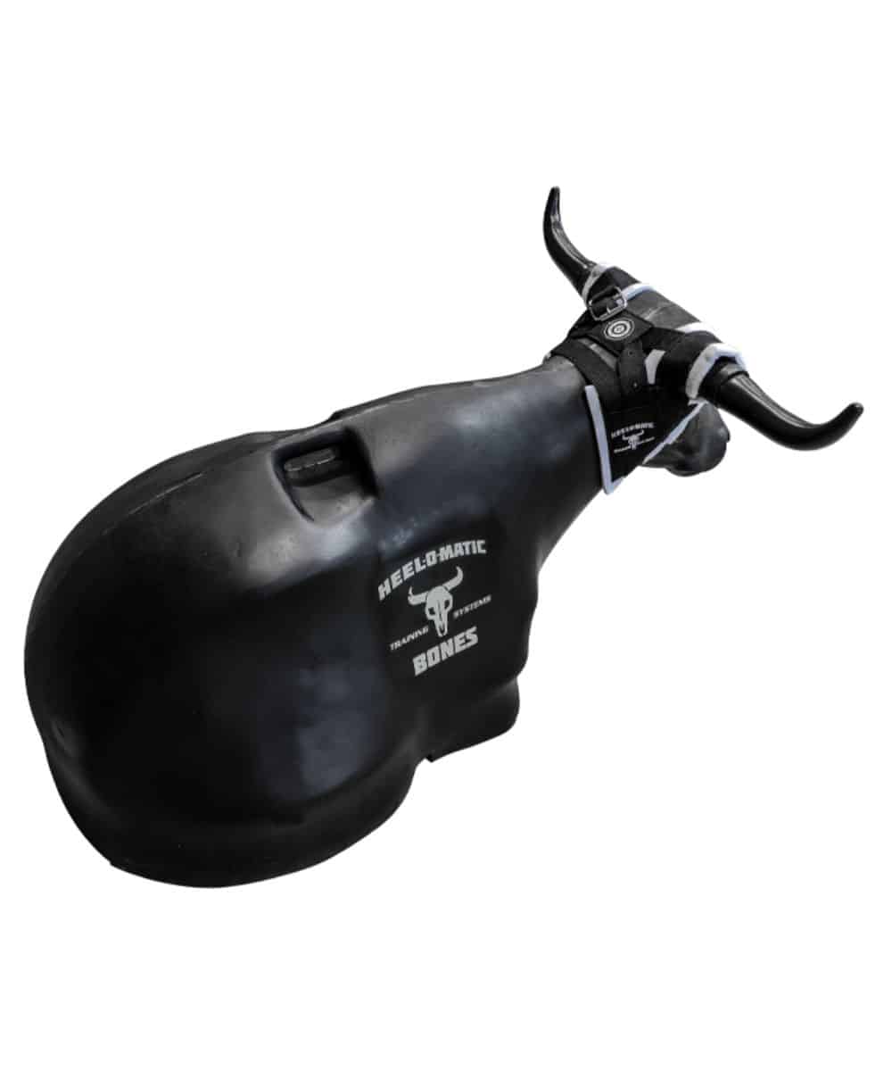 Smarty Heel-O-Matic Bones - Image 2