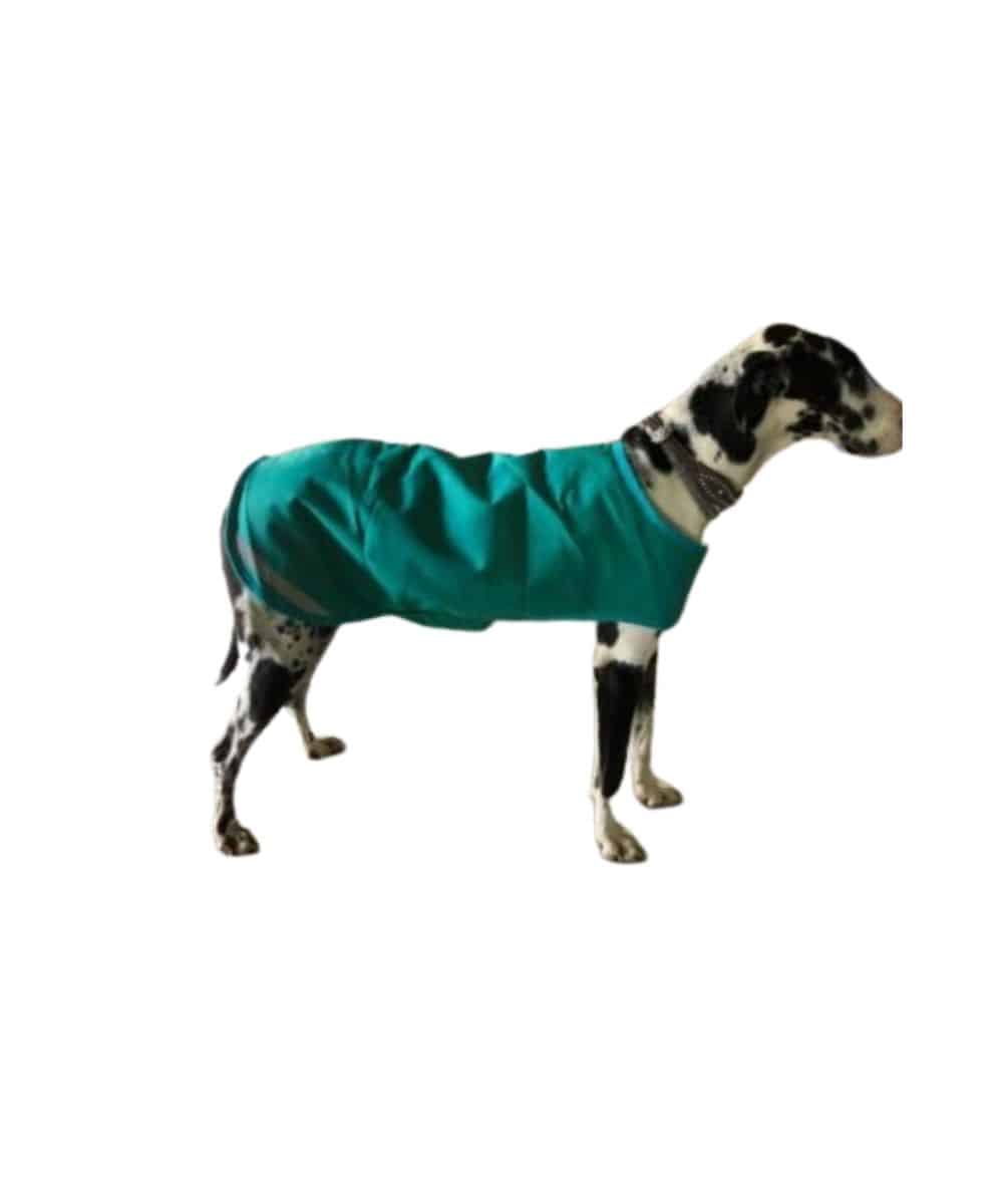 Tipperary Dog Blanket - Image 3