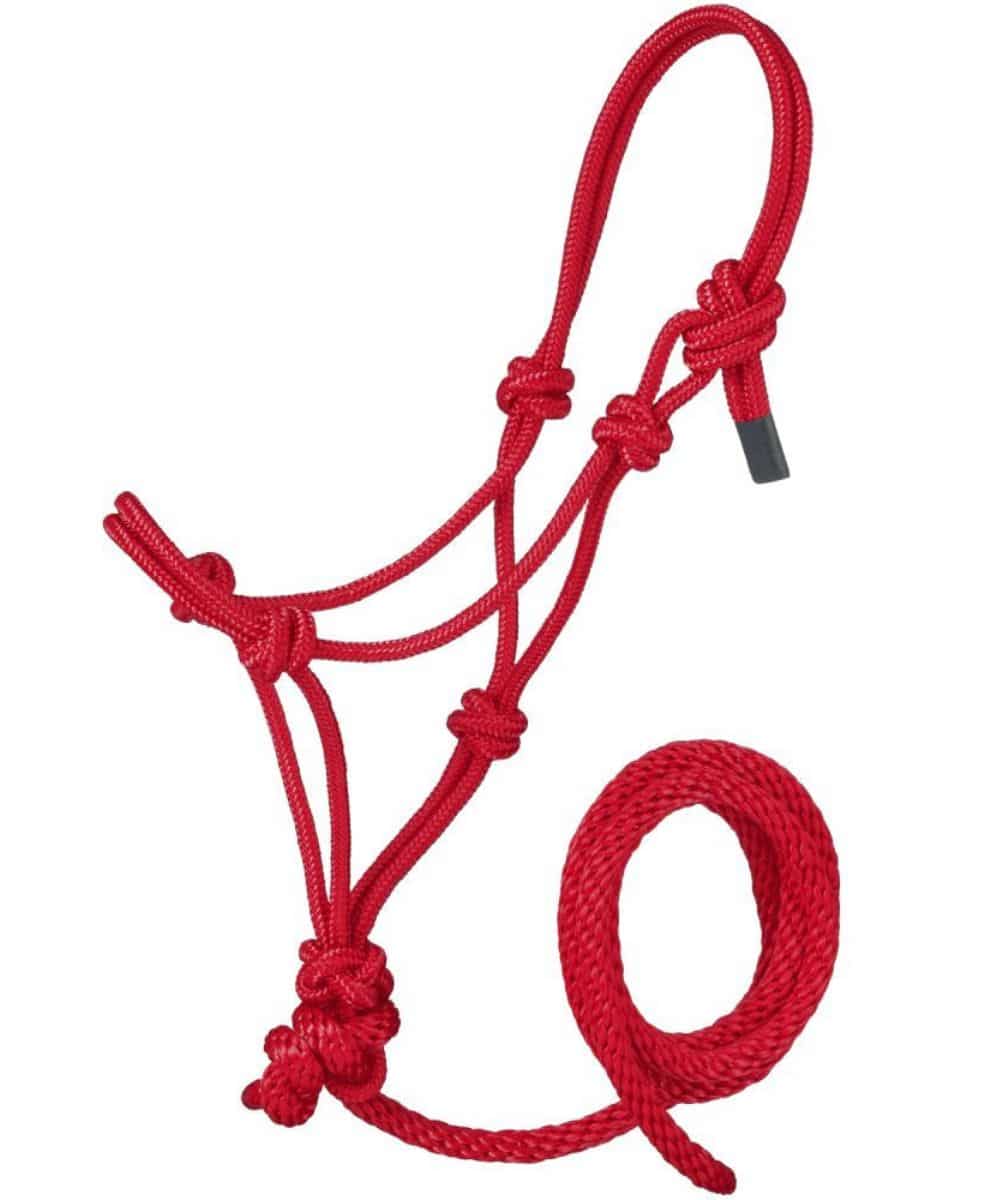 Tough1 Miniature Rope Halter With Lead - Image 4