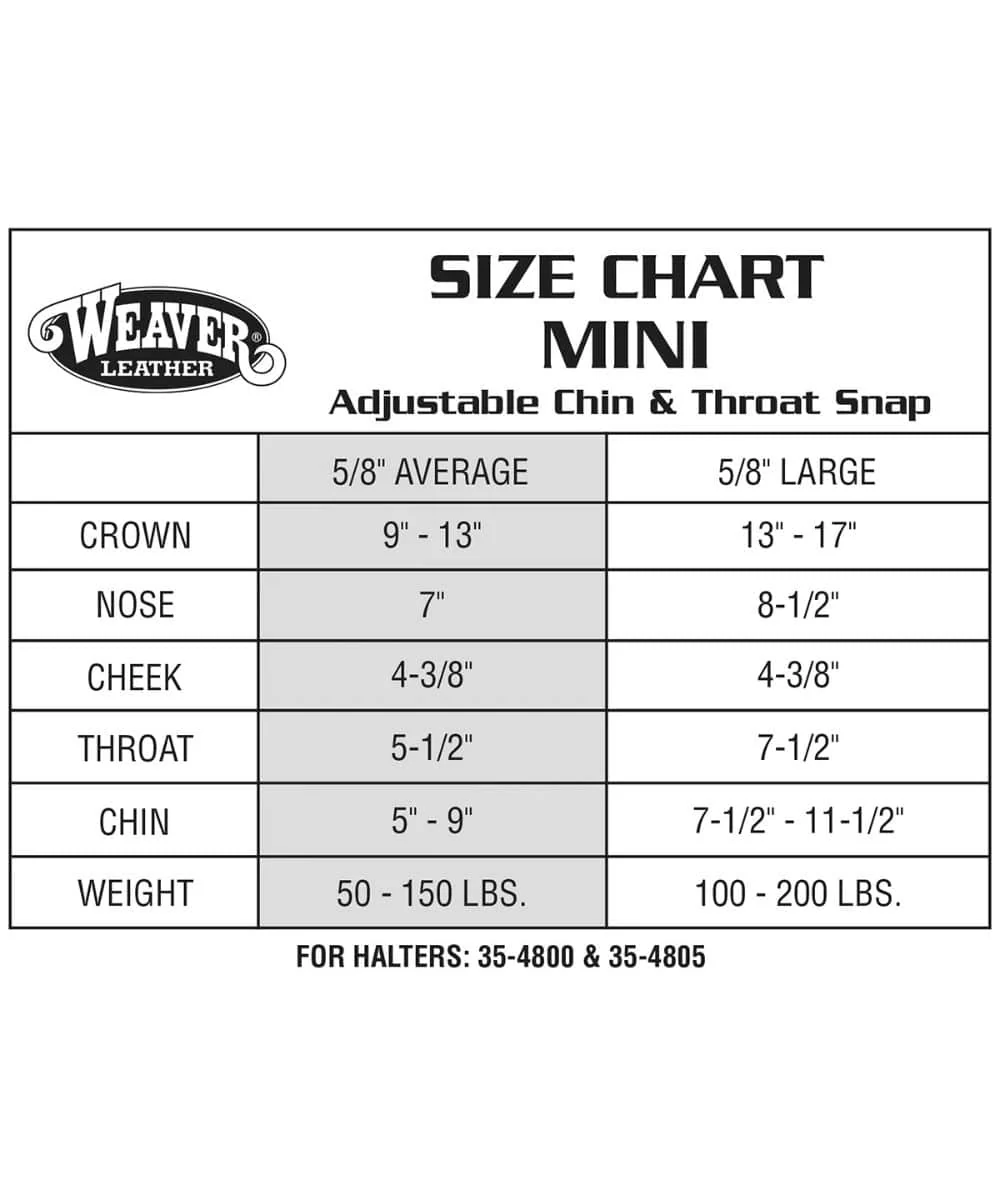 Weaver Equine Nylon Mini Halter - Image 2