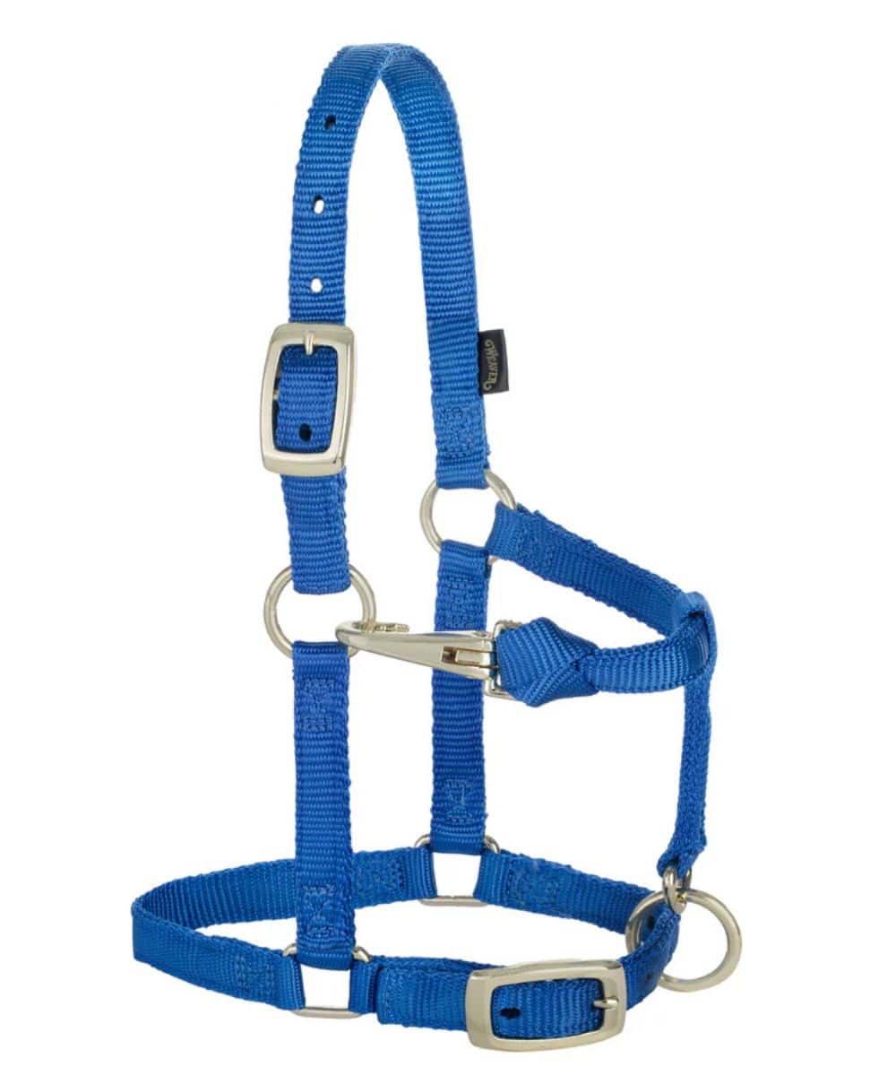 Weaver Equine Nylon Mini Halter