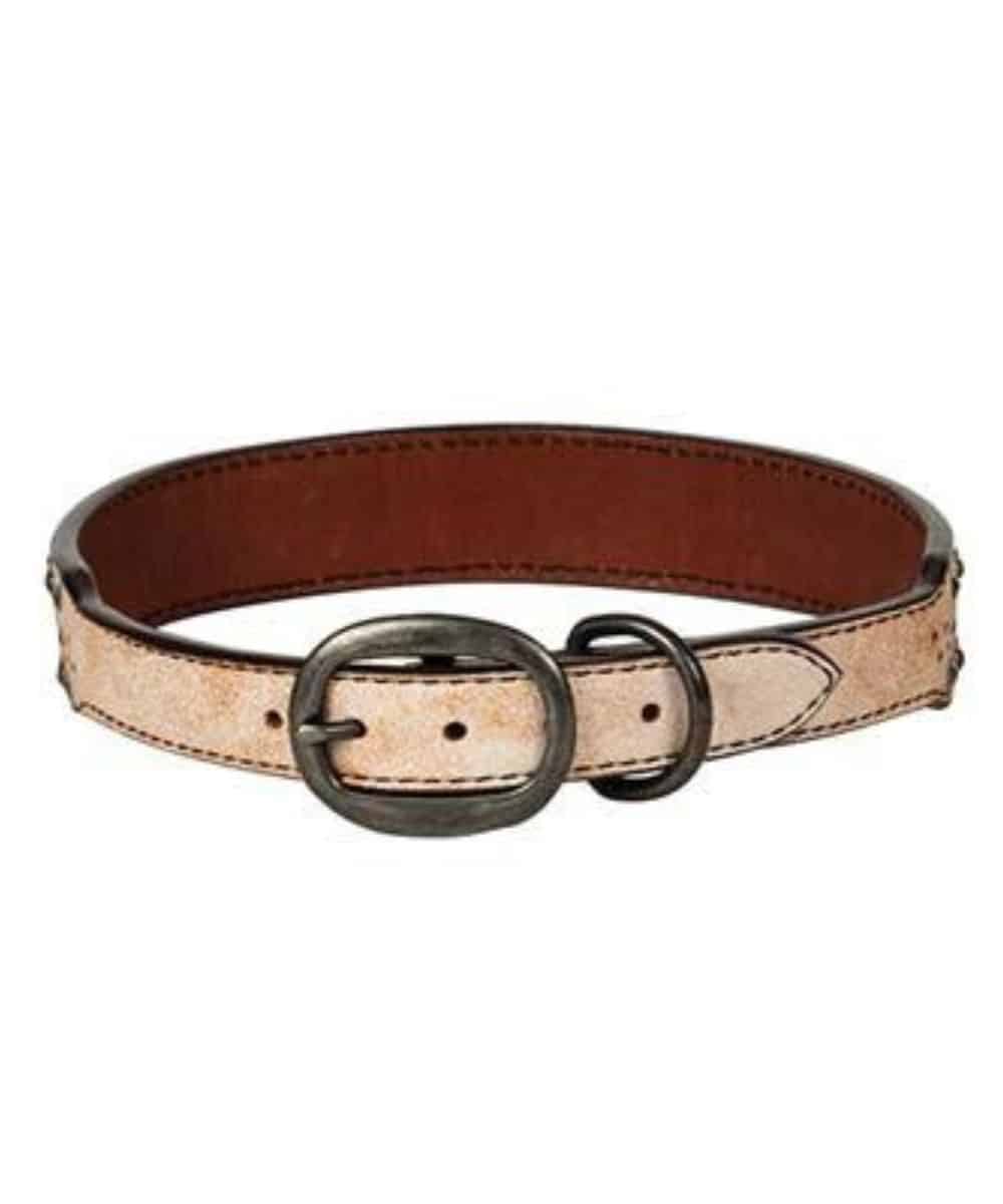 Weaver Snow Star Dog Collar - Image 2