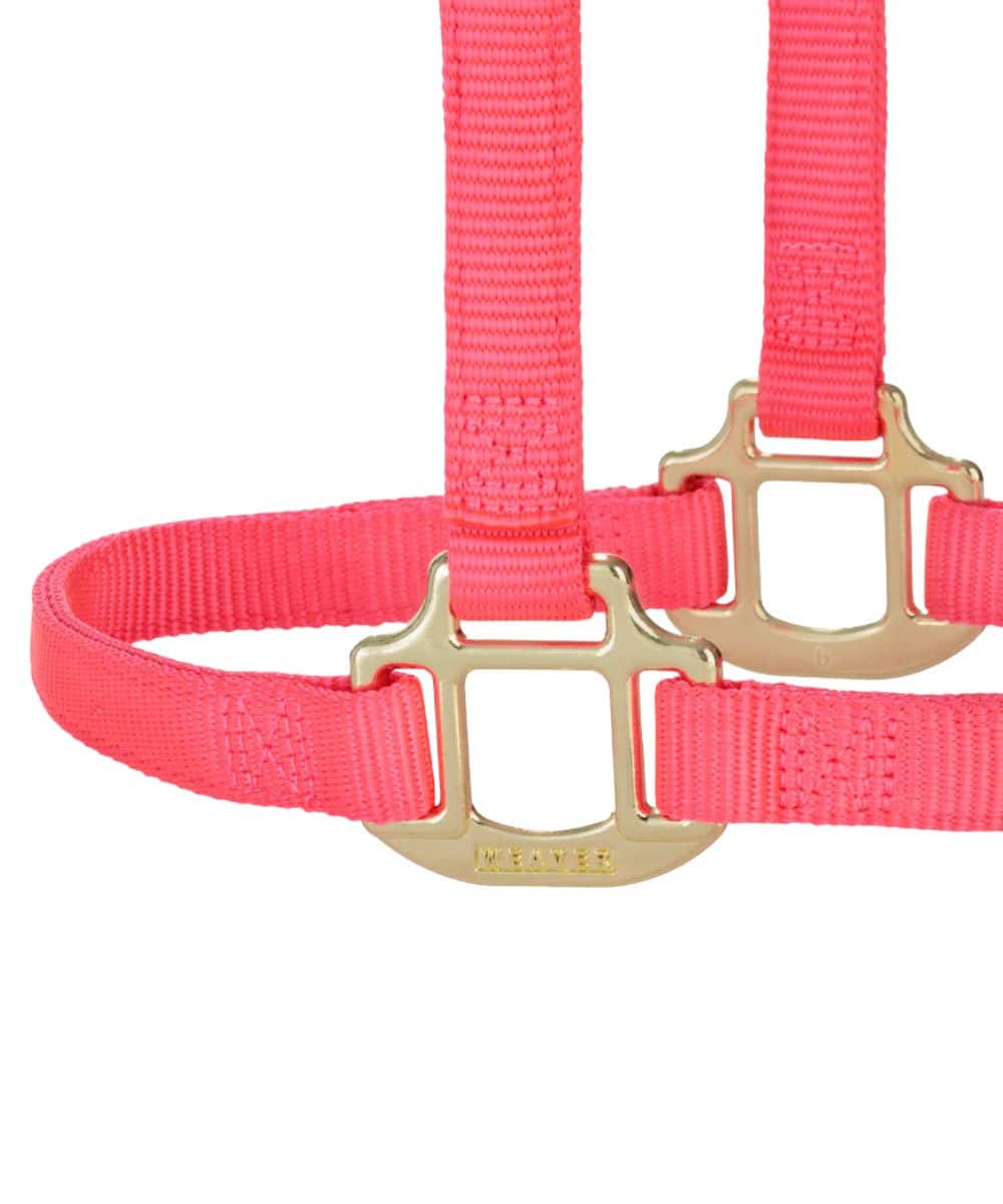 Weaver Equine Non-Adjustable Pony Halter - Image 2